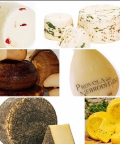 Formaggi e Latticini